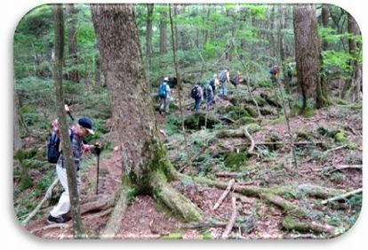 �؃������C�̗V����(2)