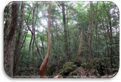 �؃������C�̗V����(4)